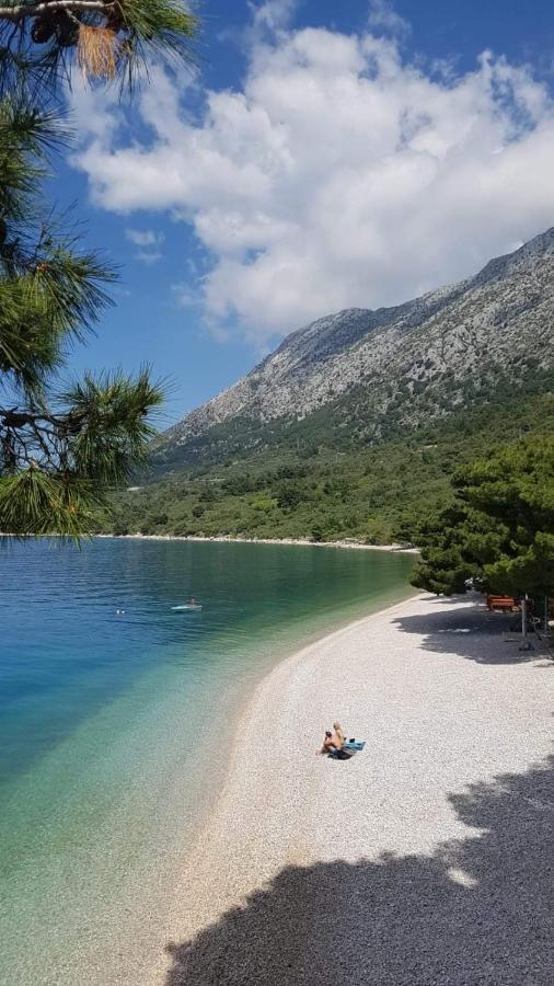 Apartmants Villa Lungo Mare Živogošće Exterior foto